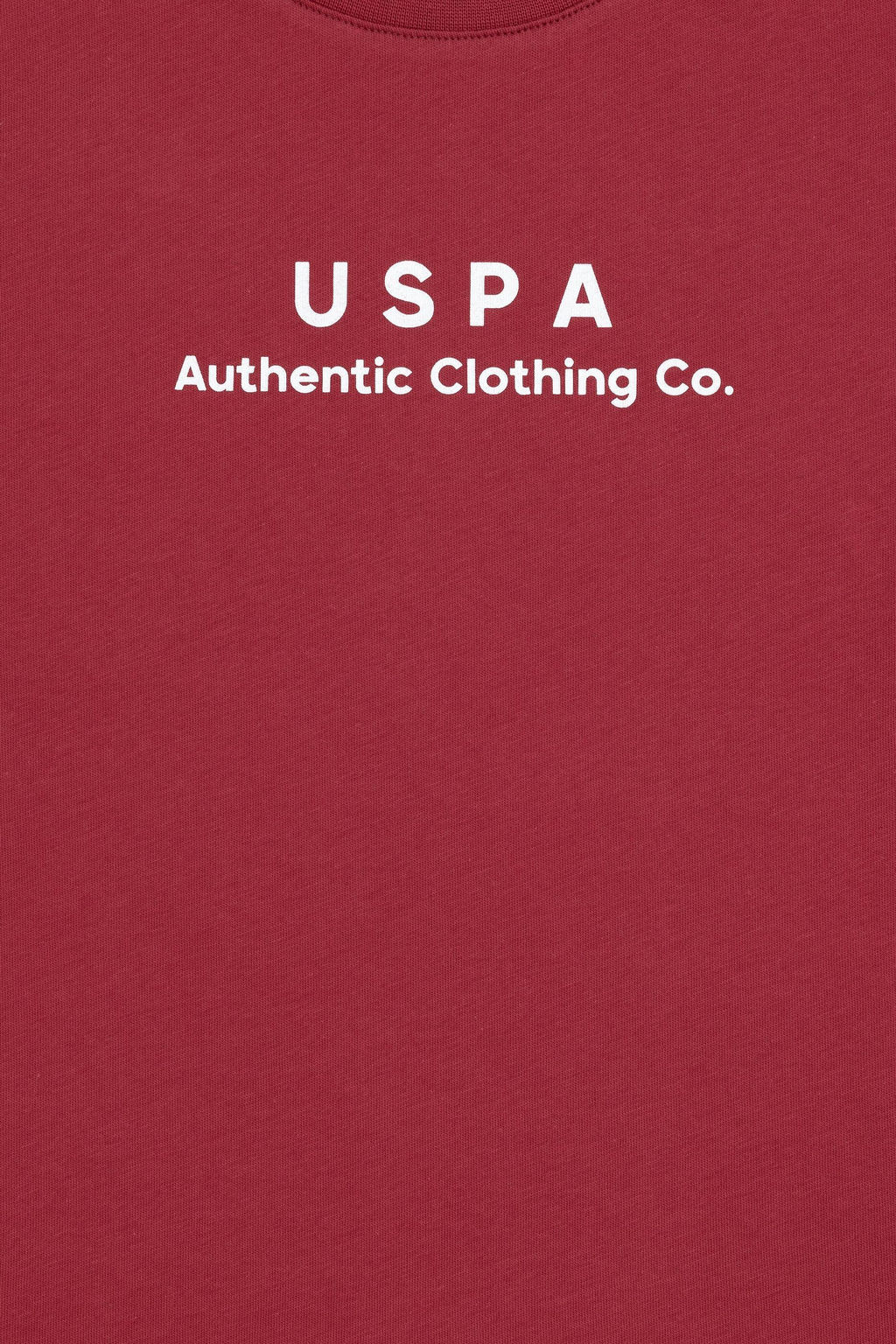Erkek _ocuk Vi_ne Basic Ti__rt Sepette S_rpriz _ndirim - U.s. polo assn фото 3