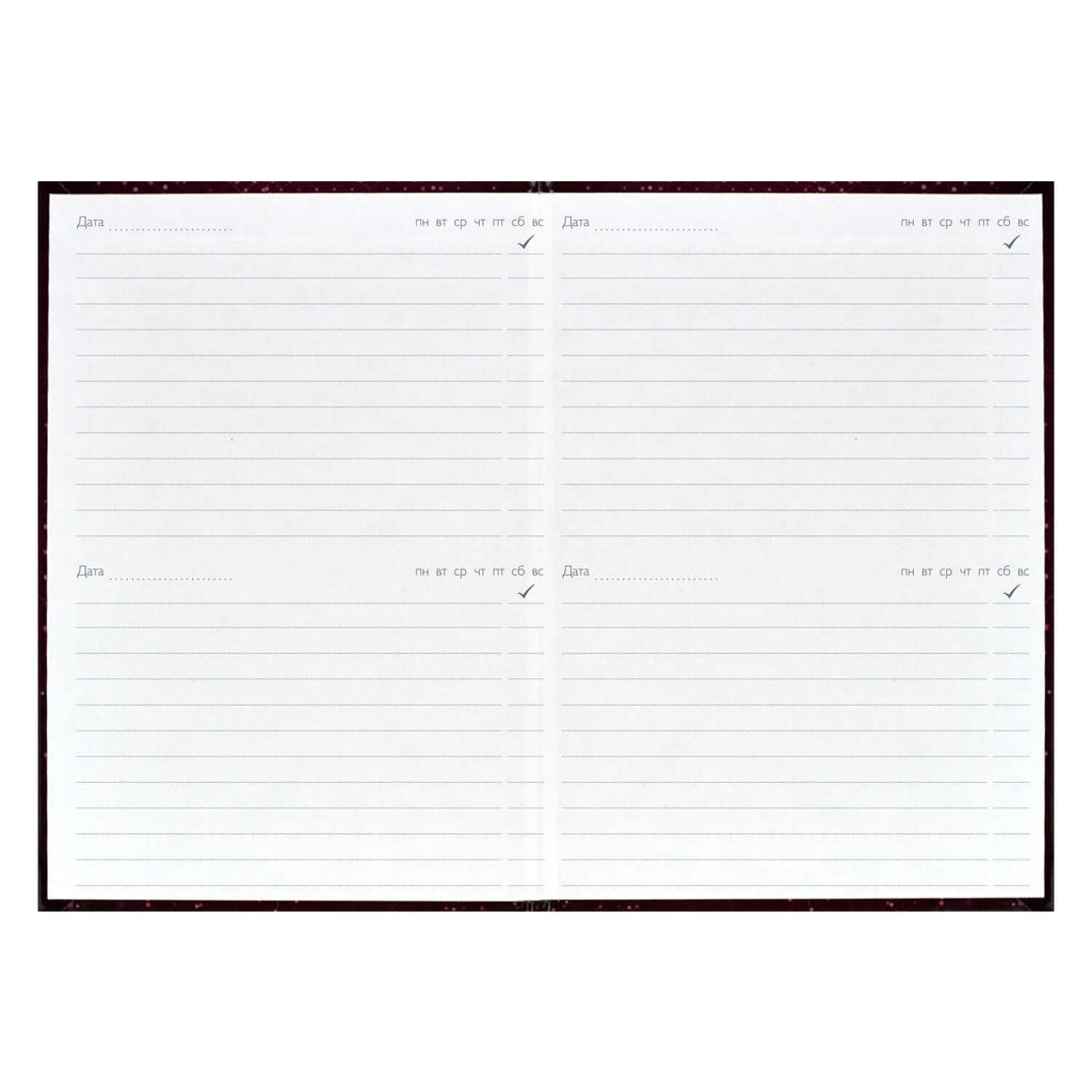 Ежегодник учителя арт. 62336 БОРДОВАЯ ФАКТУРА - Феникс+ фото 17