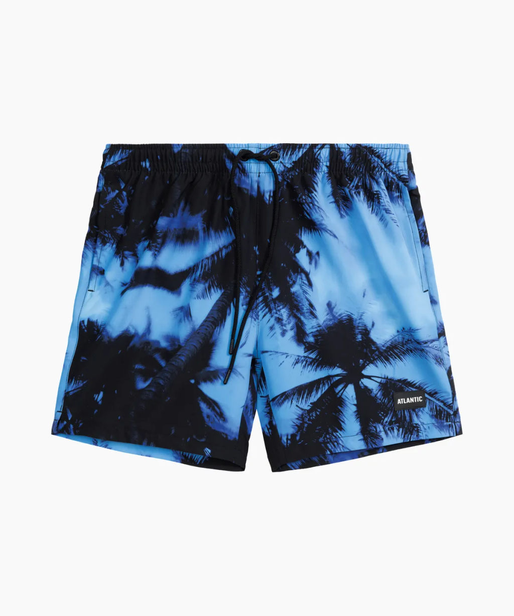 ATLANTIC KMB-227 Шорты мужские пляжные 4Way Stretch Palms голубой + черный