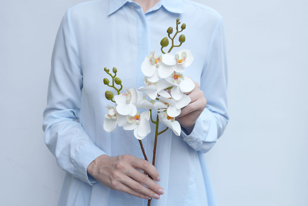 Орхидея фаленопсис малая (2 ветки, 10 соц.) - Белый