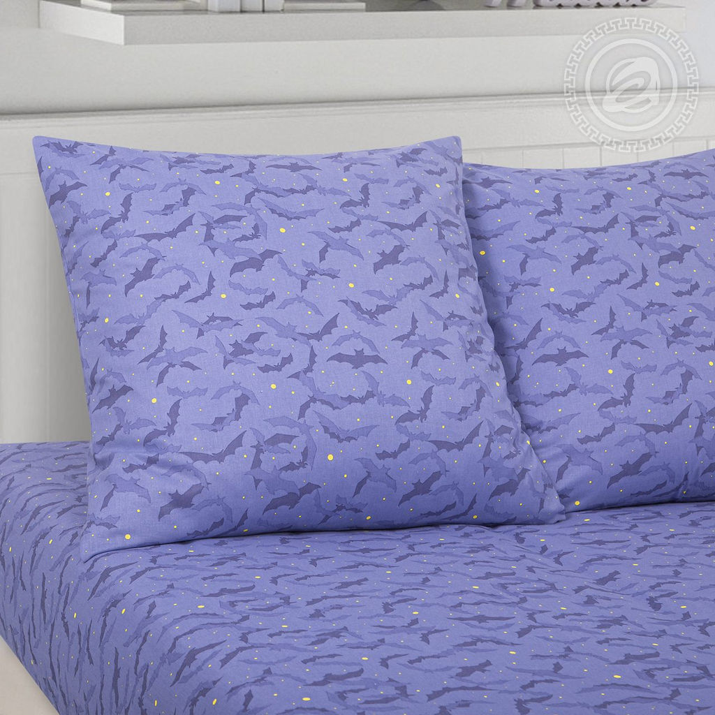 Постельное белье Академия (поплин детский) 1,5 сп./Пододеяльник: 1 шт. - 215*145; Простыня: 1 шт. - 214*150; Наволочка: 2 шт. - 70*70; Поплин детский