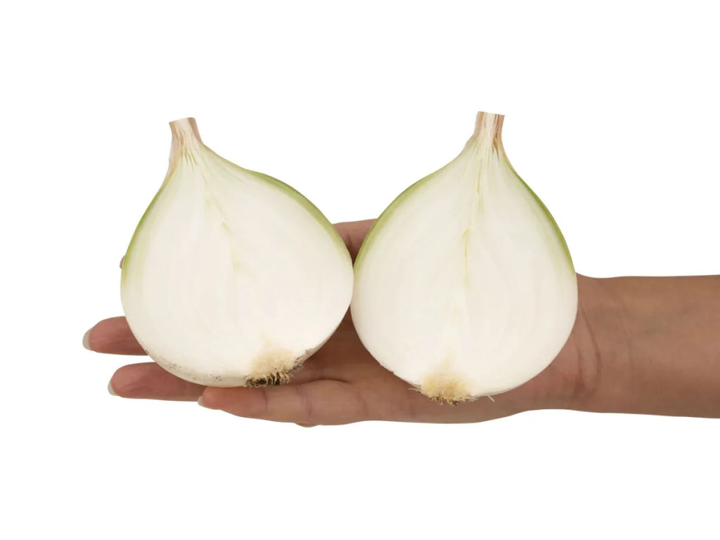 Лук репчатый Комета - Партнер фото 4