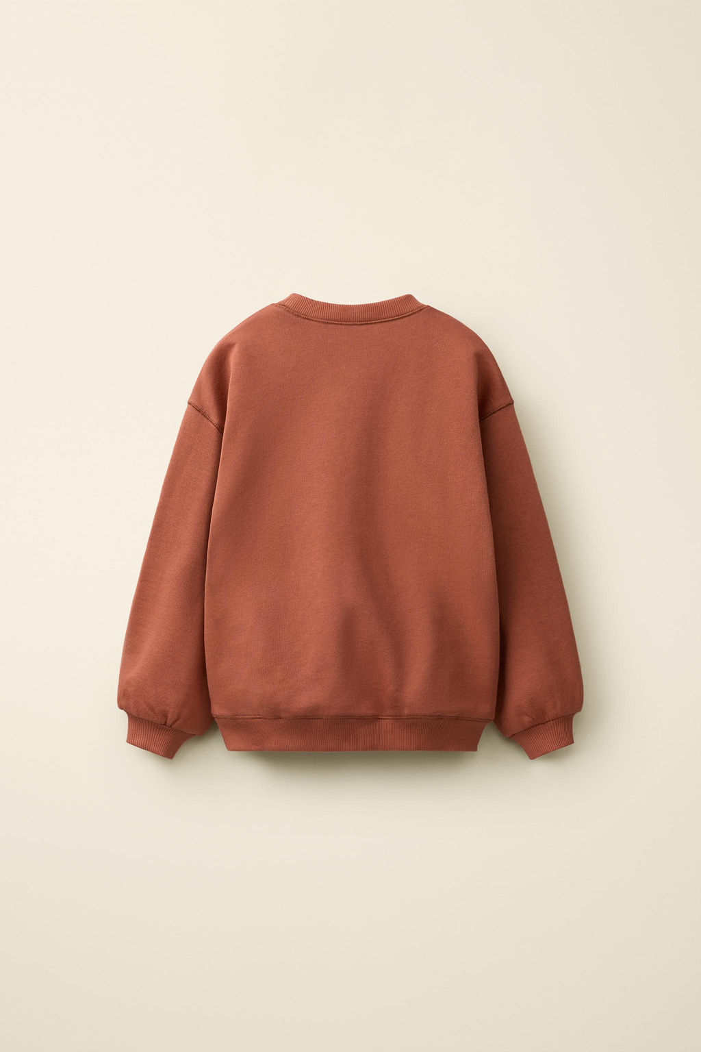SUDADERA LISA CREATED BY CARAMEL LONDON X ZARA / Teja  фото 2