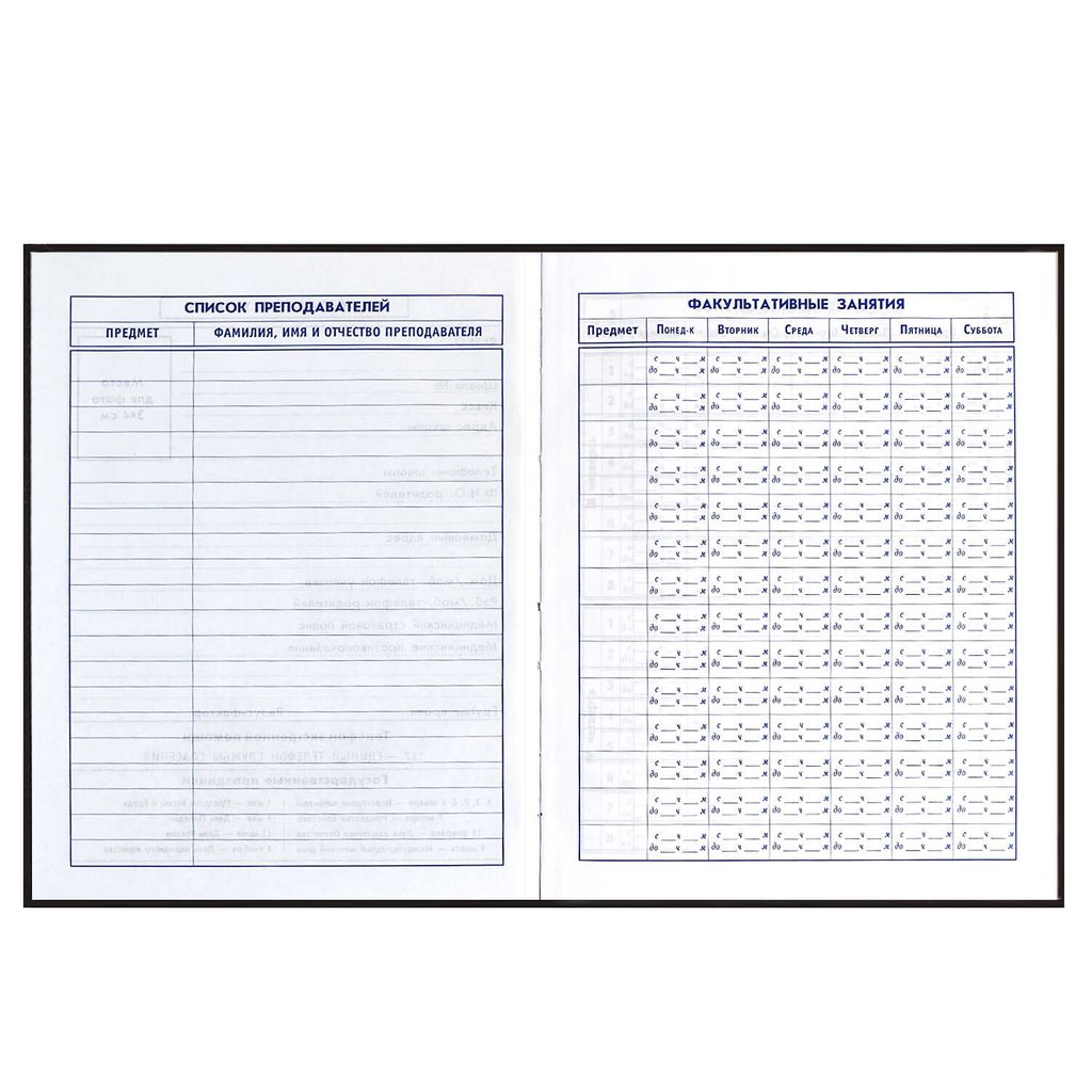 Дневник школьный 5-11 класс арт. 60095 СКЕЙТ АРТ - Феникс+ фото 6