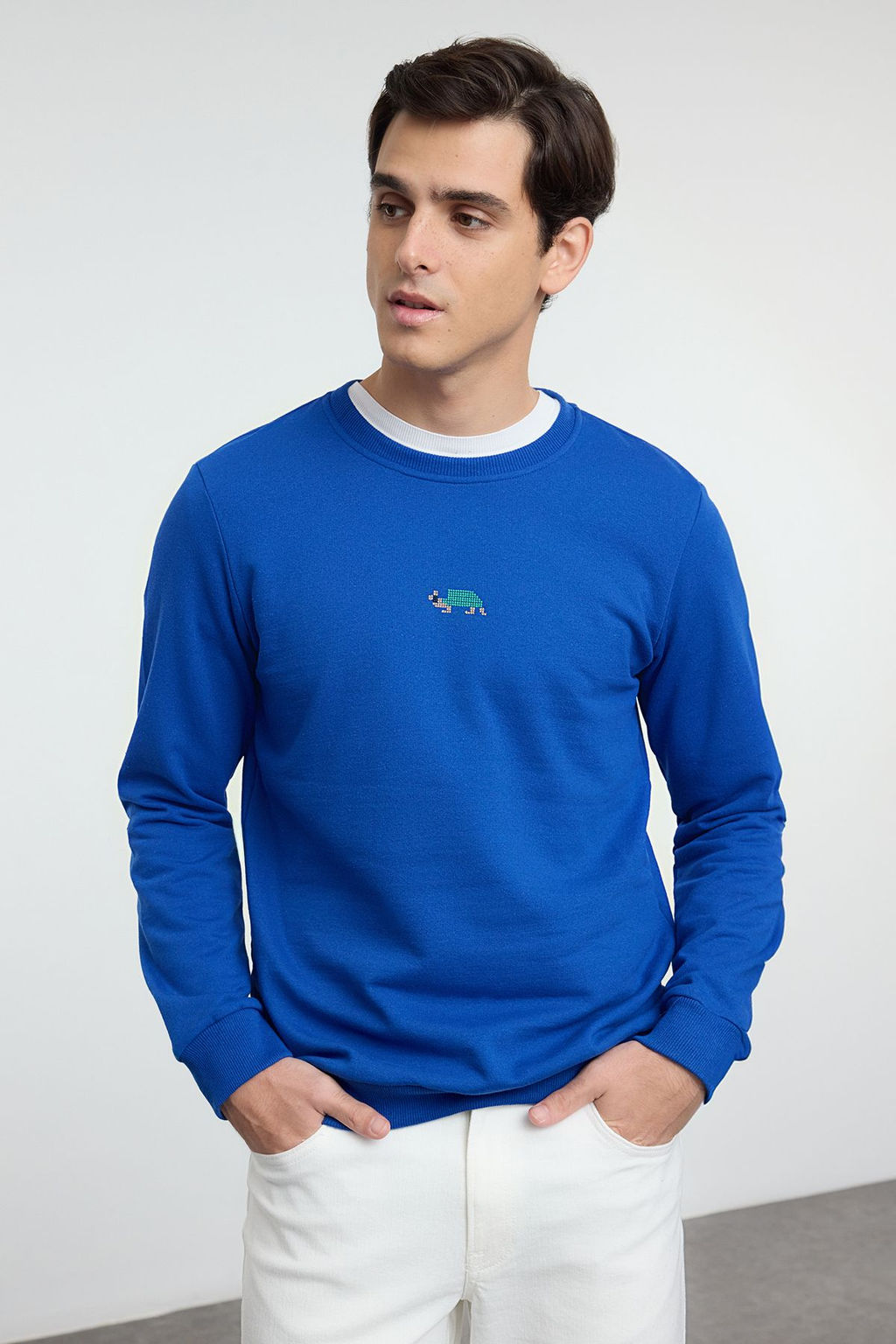 TRENDYOL MAN Tas Regular/Normal Kesim Bisiklet Yaka Etamin Hayvan Nak?sl? Sweatshirt TMNAW25SW00158 - Trendyolmilla фото 10