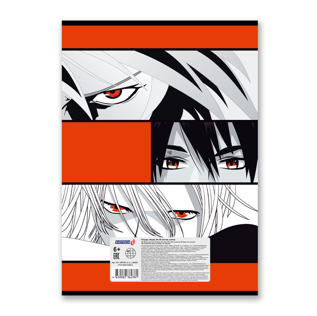Светоч 80ТСК4_2_2_1 Тетрадь ученическая общая, матовая ламинация, A4 80 л. на скобе 65 г/кв.м , белизна 100 % 6 шт. клетка 000457 Учи иероглифы фото 7