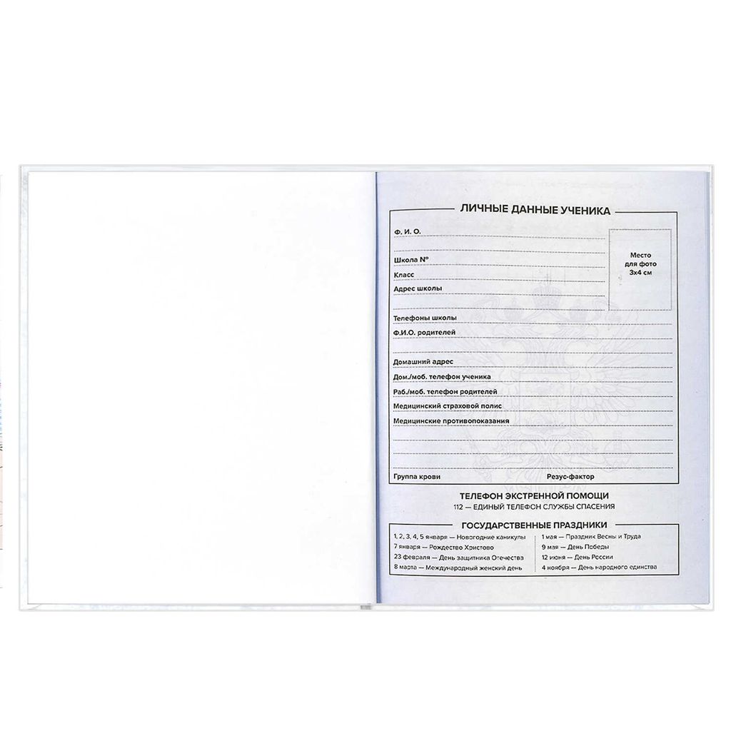 Дневник российского школьника арт. 60148 ТРИАДА НА БЕЛОМ - Феникс+ фото 7