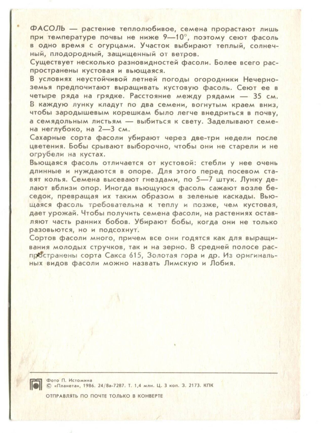 Открытка Фасоль