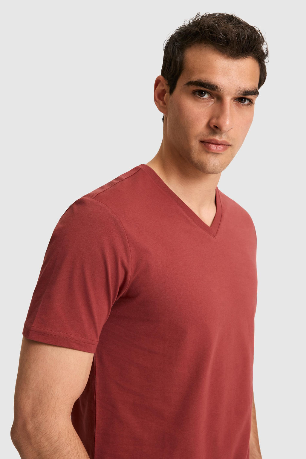 Erkek Reguar Fit V Yaka Vi_ne Basic Ti__rt