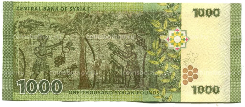 1000 фунтов 2013 года Сирия
