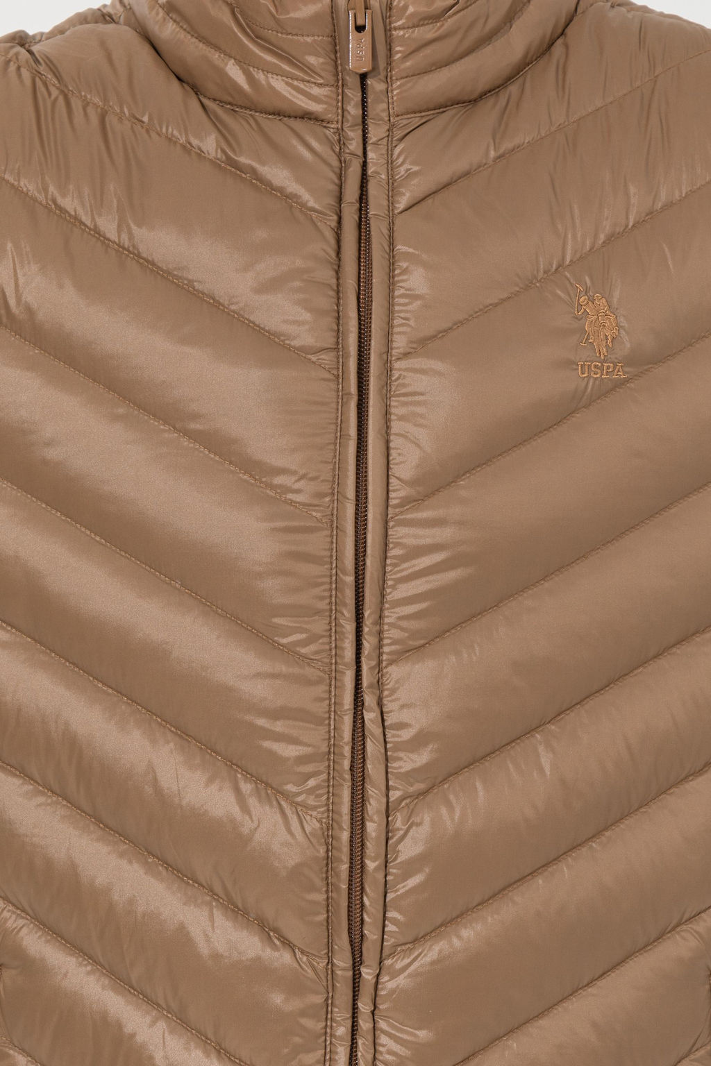 Erkek Camel Mont