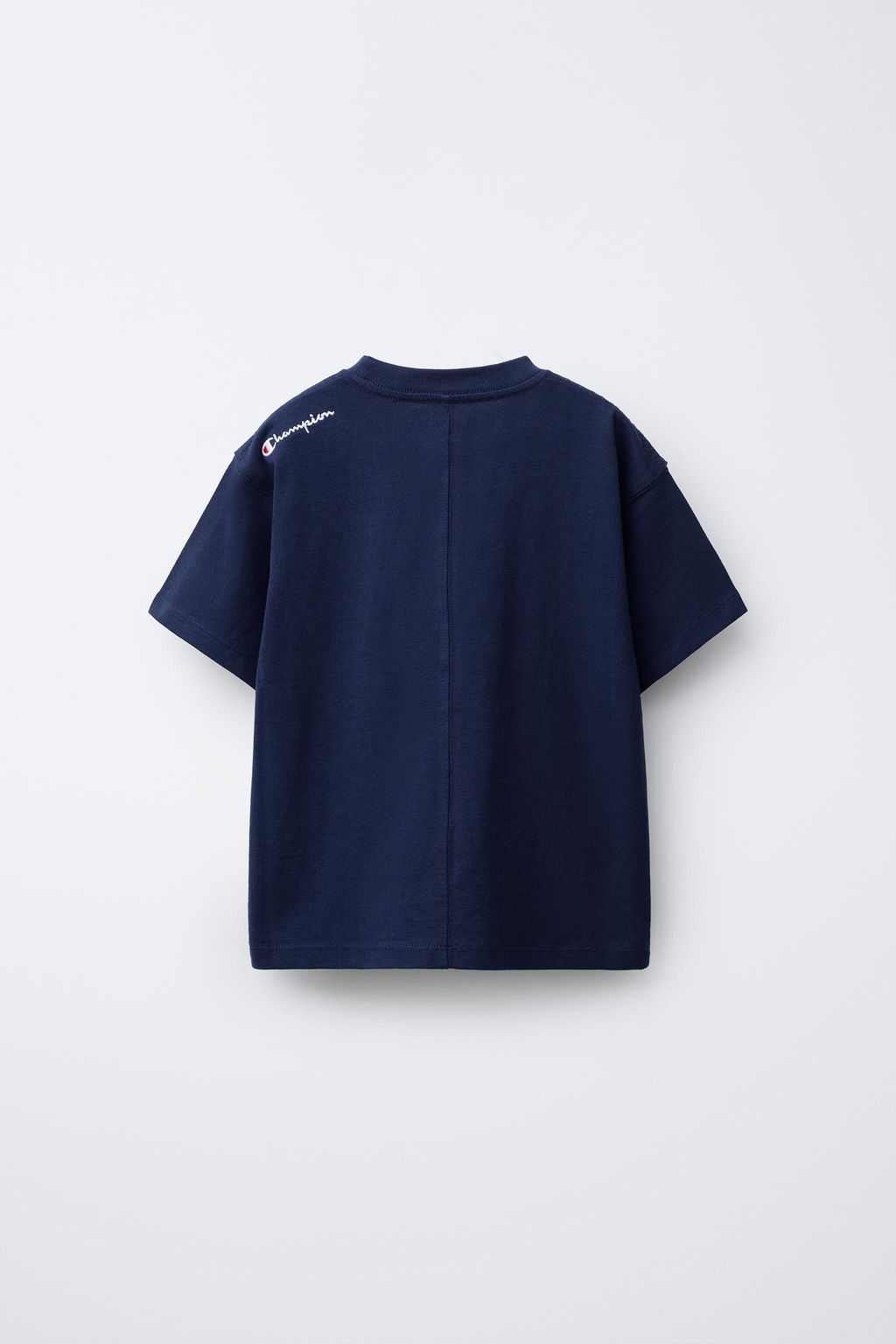 CROCODILE PRINT T-SHIRT CHAMPION ® X ZARA фото 2