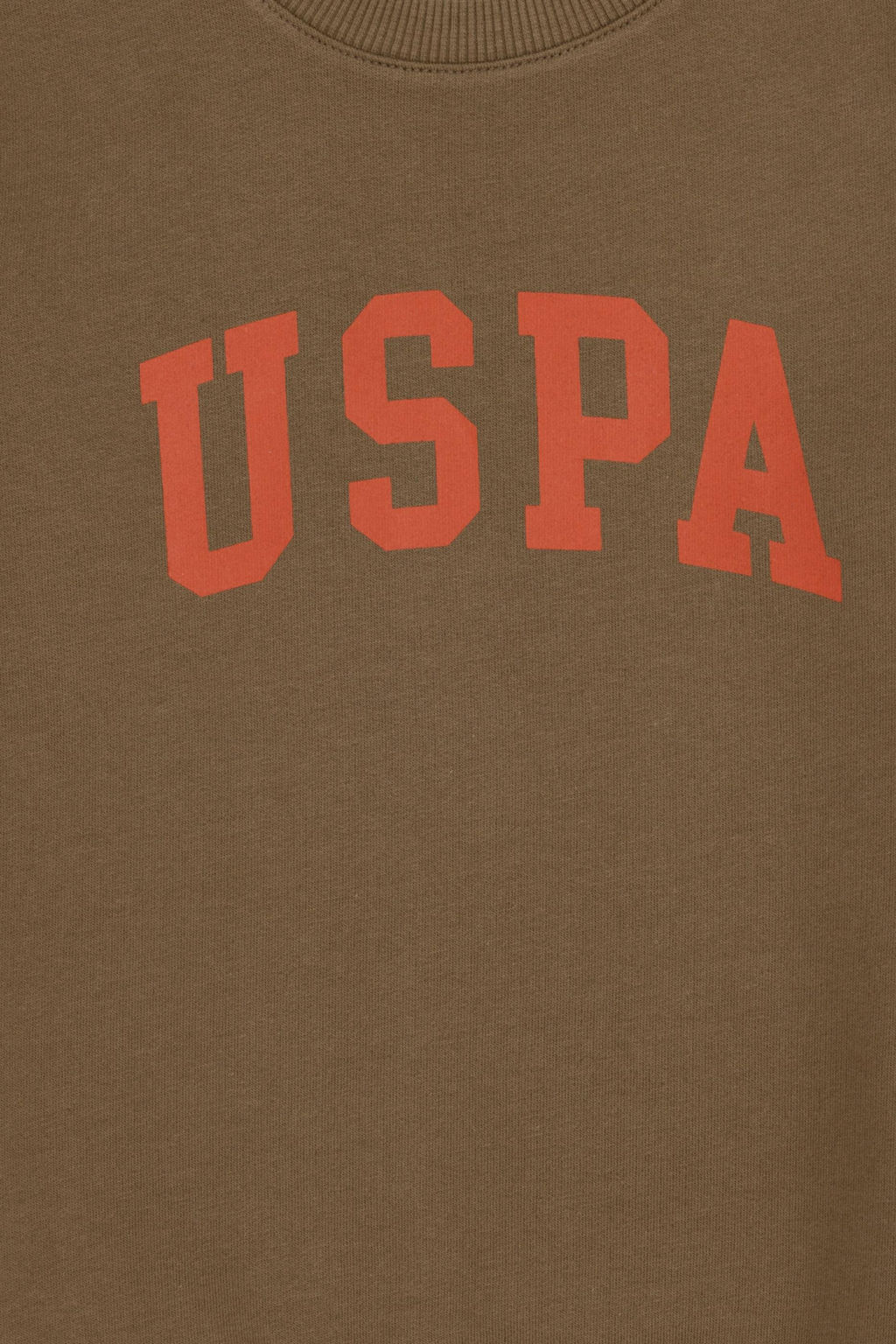 Свитшот U.S. Polo Assn для мальчика хаки хлопок  фото 3