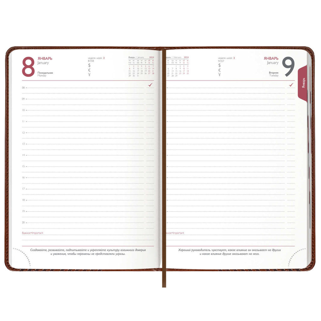 Ежедневник датированный 2024 ESCALADA, А5, 176 л., арт. 63737/ 15 САРИФ КОРИЧНЕВЫЙ  фото 2