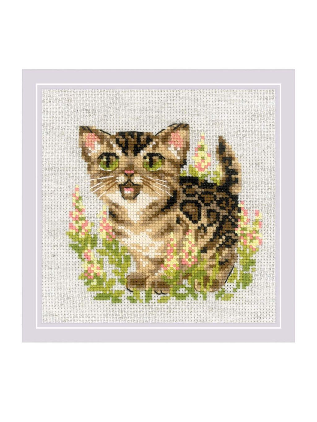 2119 Бенгальский котёнок