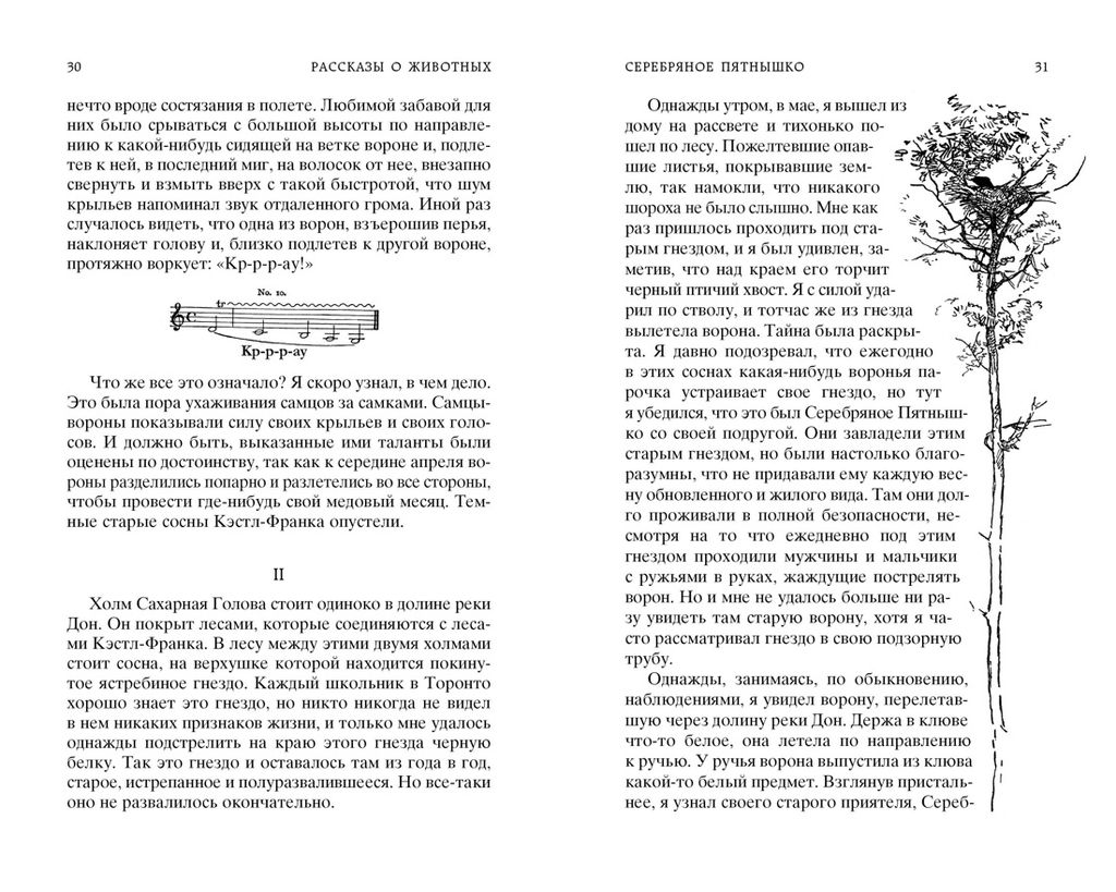 Рассказы о животных. Сетон-Томпсон Э. - Азбука фото 7
