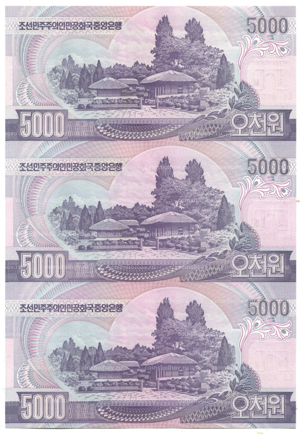 5000 вон 2006 года Северная Корея  Лист из трех банкнот