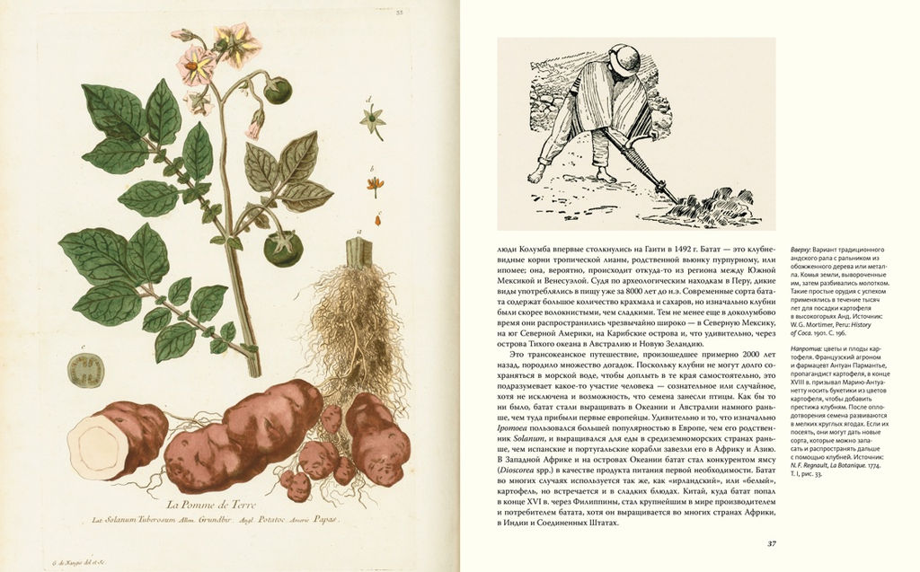 Выдающиеся растения, которые изменили нашу жизнь. Байнум Х., Байнум У.