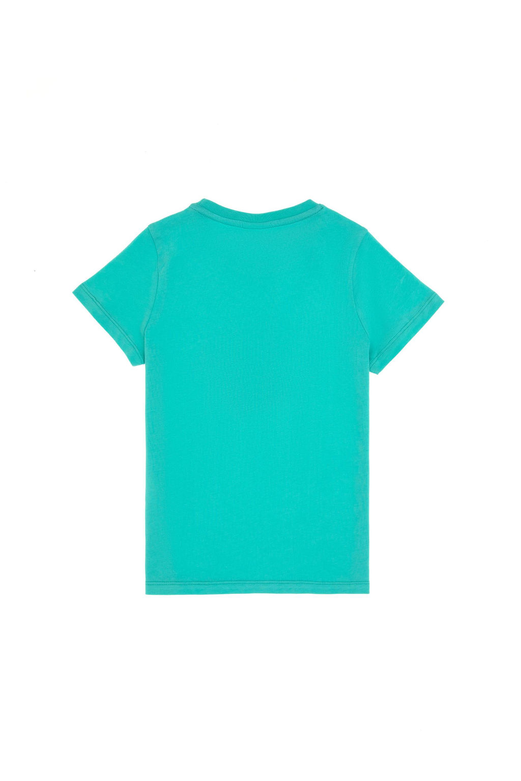 Erkek _ocuk Mint Bisiklet Yaka Ti__rt Sepette S_rpriz _ndirim - U.s. polo assn фото 2