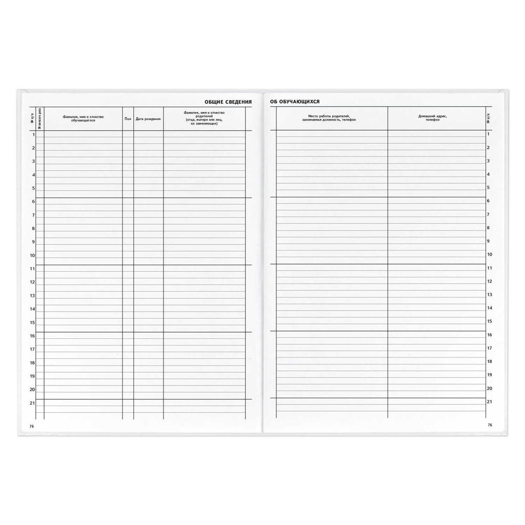 Классный журнал 10-11 класс арт. 5193