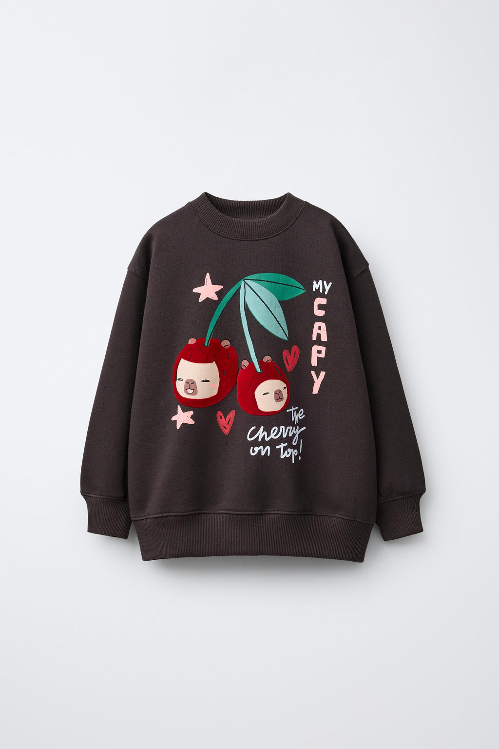 FLOCK CHERRY CAPYBARA CAPYFUN  SWEATSHIRT - Zara фото 5