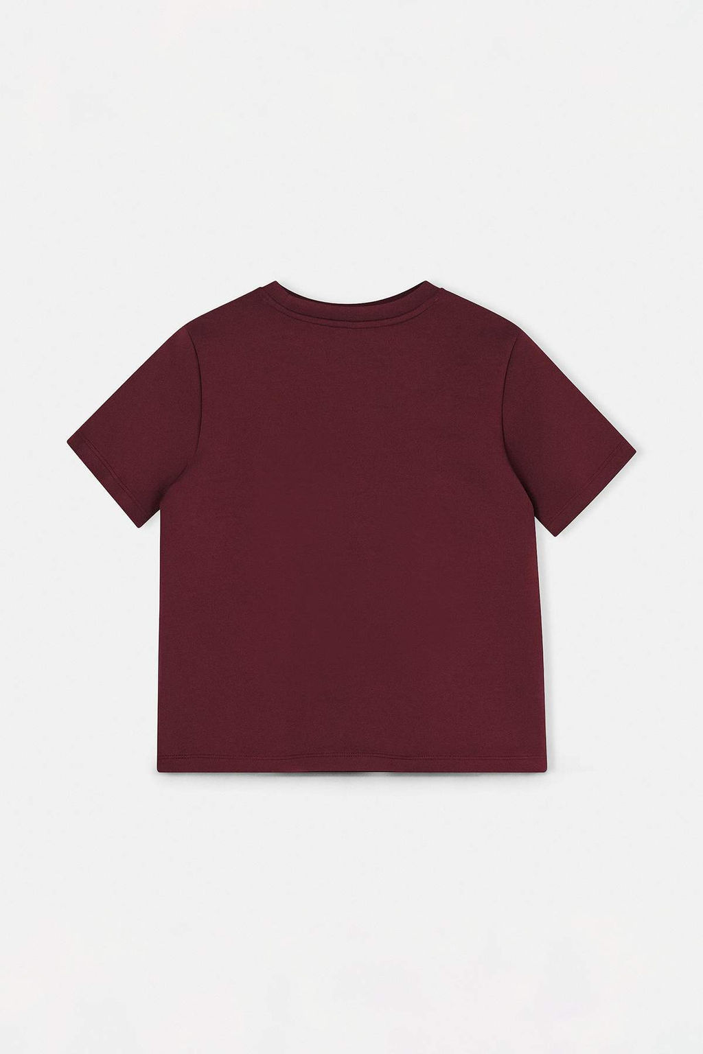 Bordo Duz Regular Bisiklet Yaka Standart Kol K?sa Interlok Orme T-Shirt TWOSS26TS00064 - Trendyolmilla фото 2