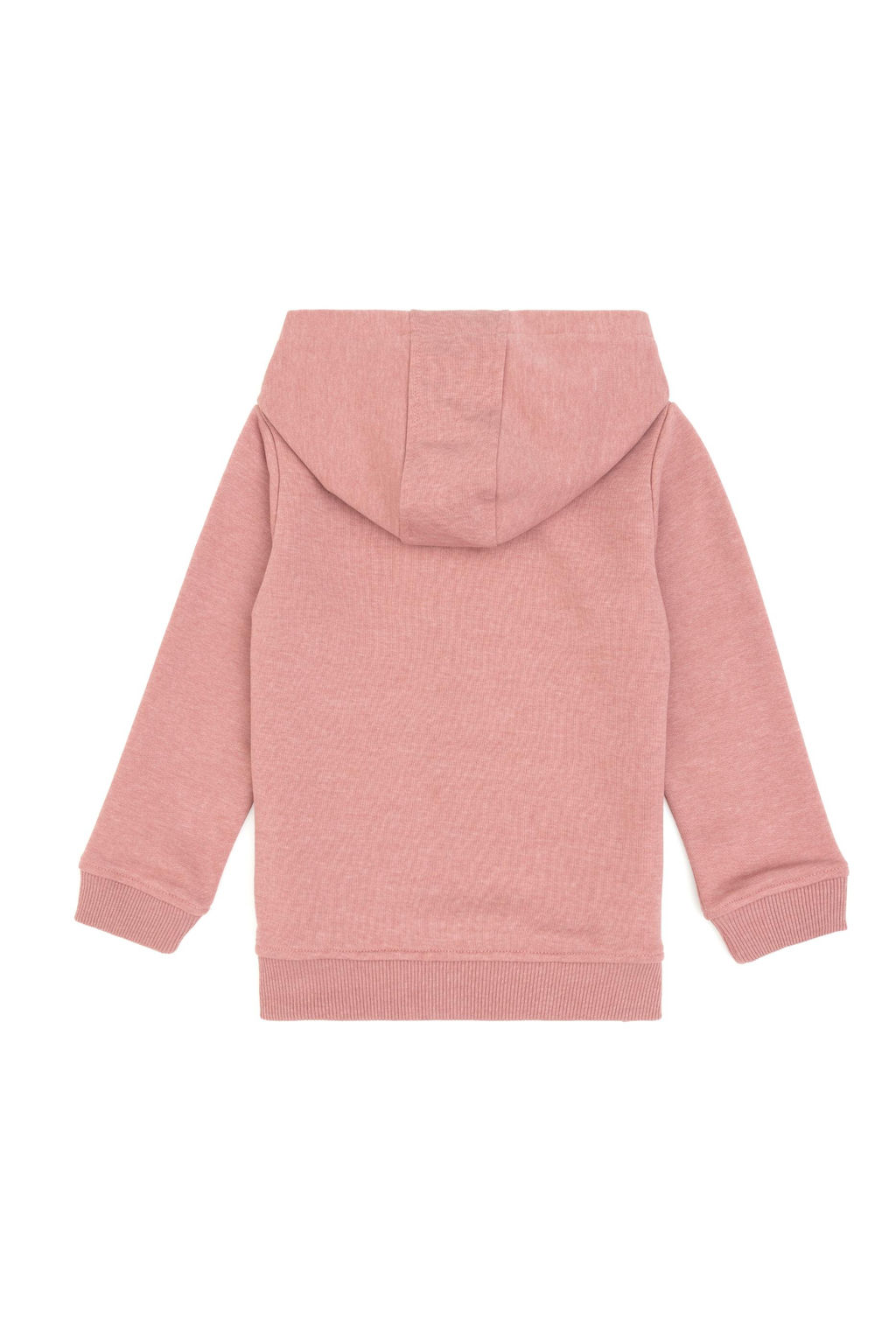 Erkek _ocuk Orkide Basic Kap__onlu Sweatshirt - U.s. polo assn фото 3