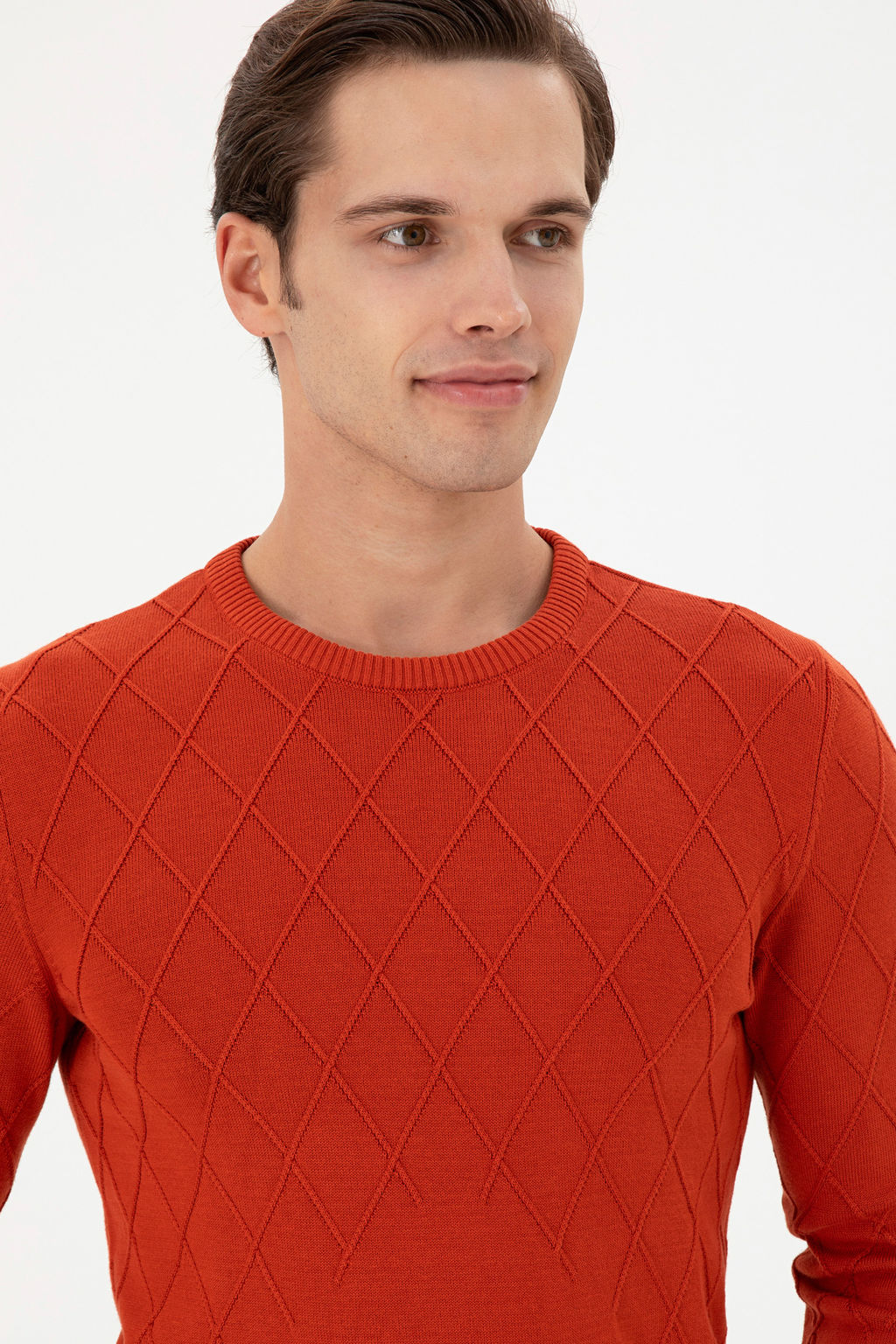 Erkek Slim Fit Bisiklet Yaka Kiremit Kazak - U.s. polo assn фото 9