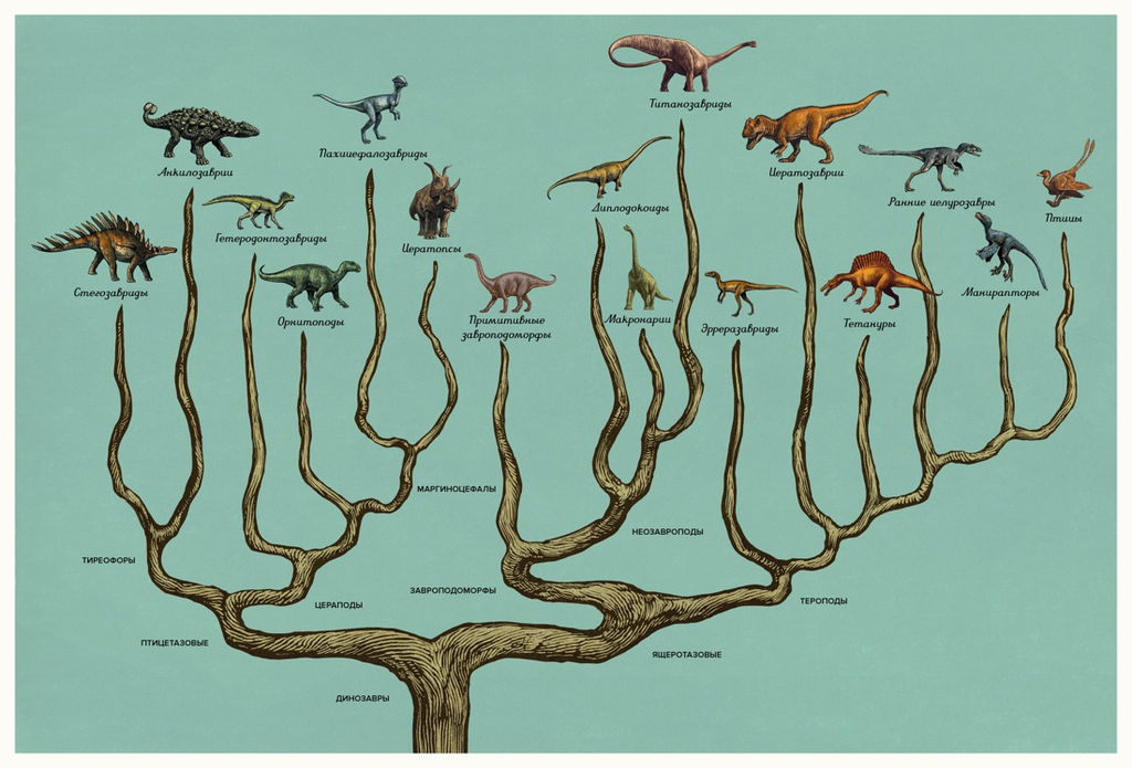 Динозавриум. Маррей Л., Скотт К., Брун Д. - Махаон фото 4