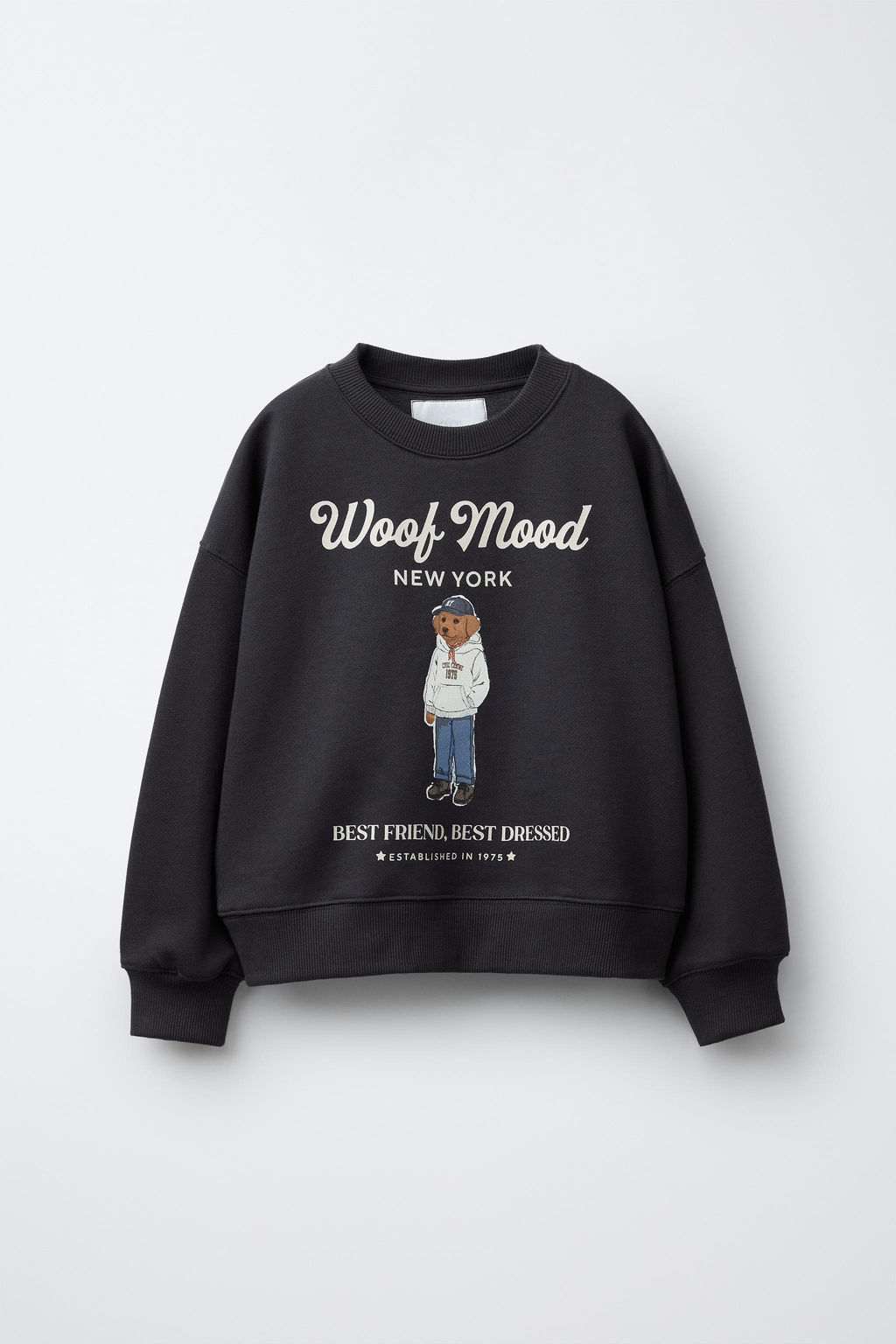 DOG PRINT SWEATSHIRT - Zara фото 7