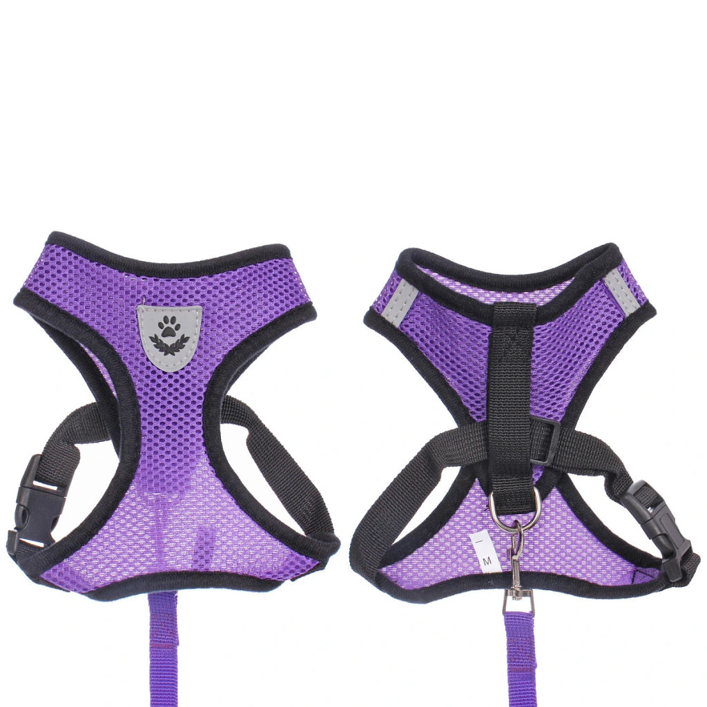 Цена за 2 шт. Шлейка с поводком 118см "Sweet puppy" размер M, цвет фиолетовый