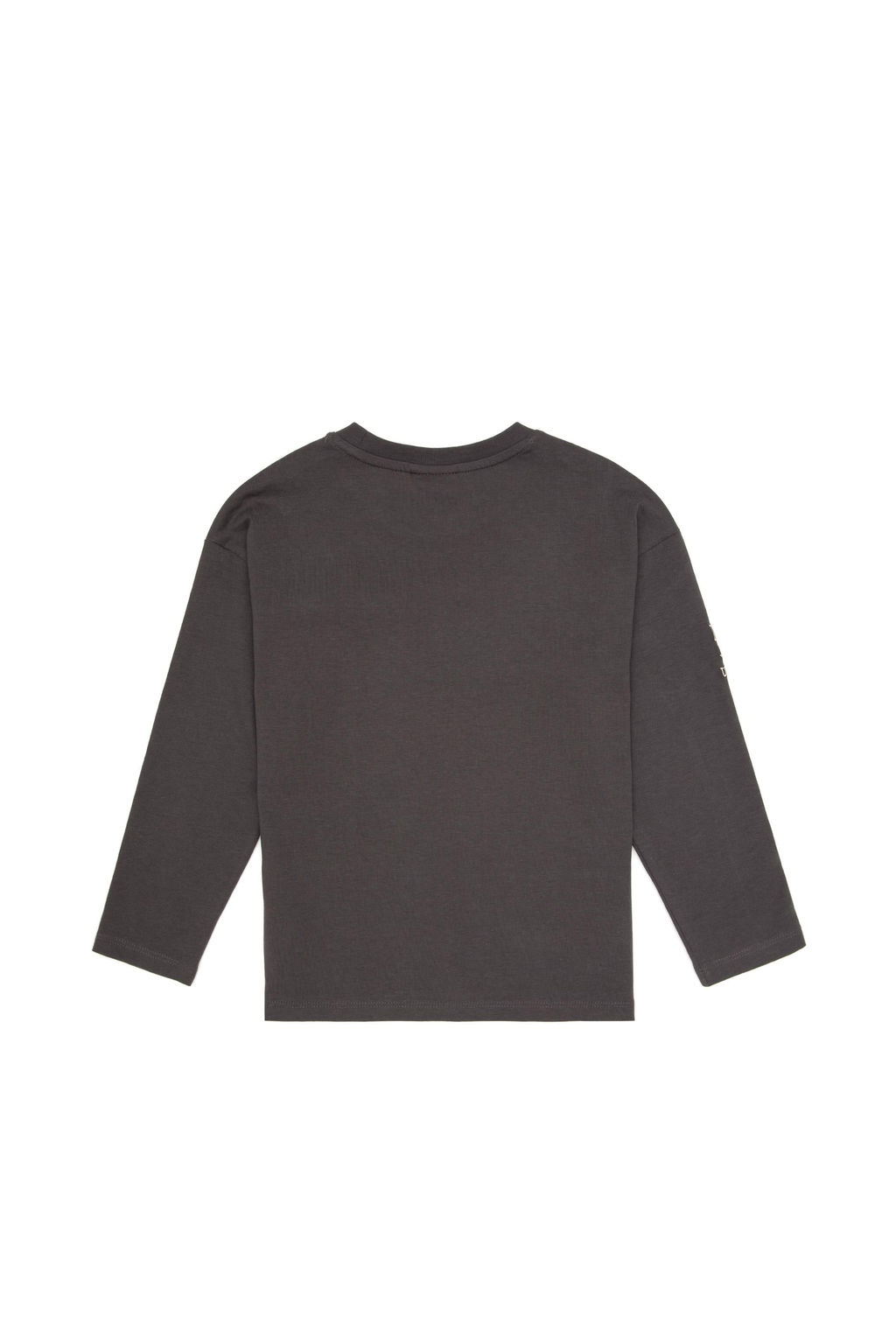 Erkek _ocuk Gri Bisiklet Yaka S_prem Sweatshirt - U.s. polo assn фото 2