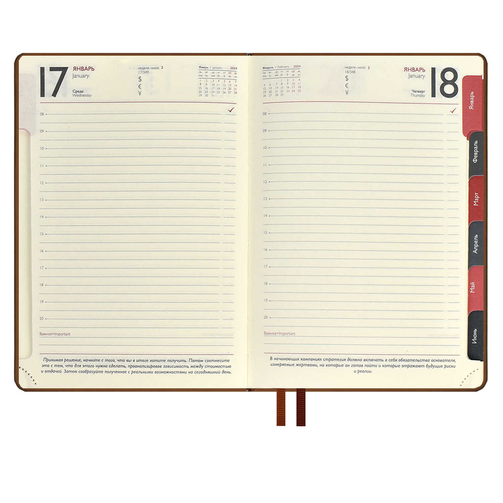 Ежедневник датированный 2024 ESCALADA, А6+, 176 л., арт. 63801/ 15 ТИВОЛЛИ ГЛОСС КОРИЧНЕВЫЙ  фото 9