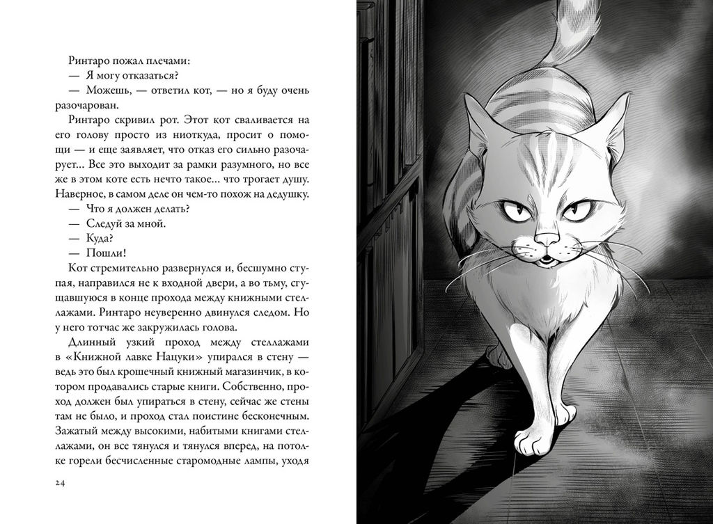 Кот, который любил книги. Нацукава С. - Азбука фото 4
