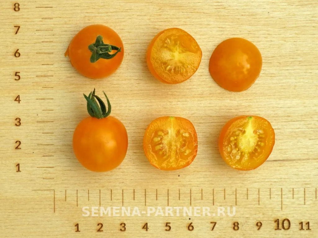 Томат Дори - Партнер фото 8