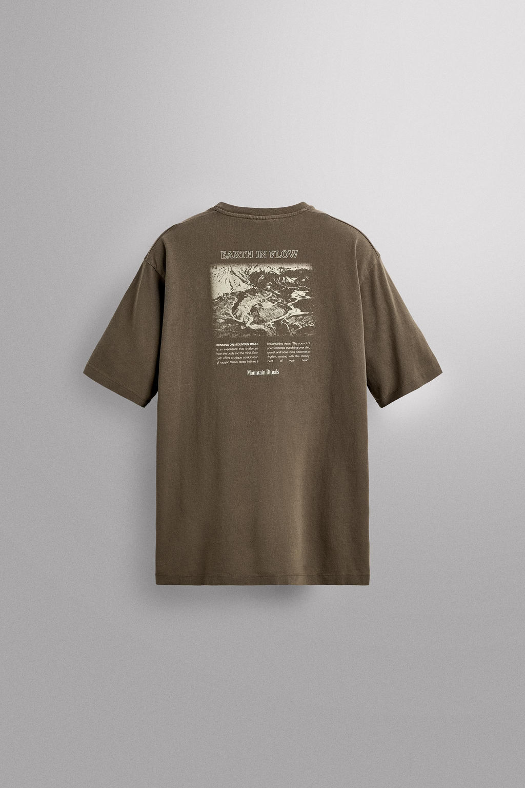 CAMISETA REGULAR FIT GR?FICO ESTAMPADO / Marr?n / Topo