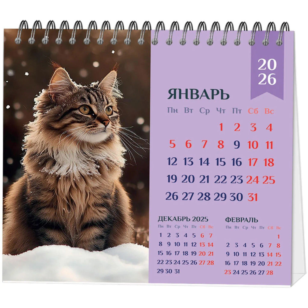 Календарь-домик настольный 2026 Atache, Котенок, 120х110 - Attache фото 3