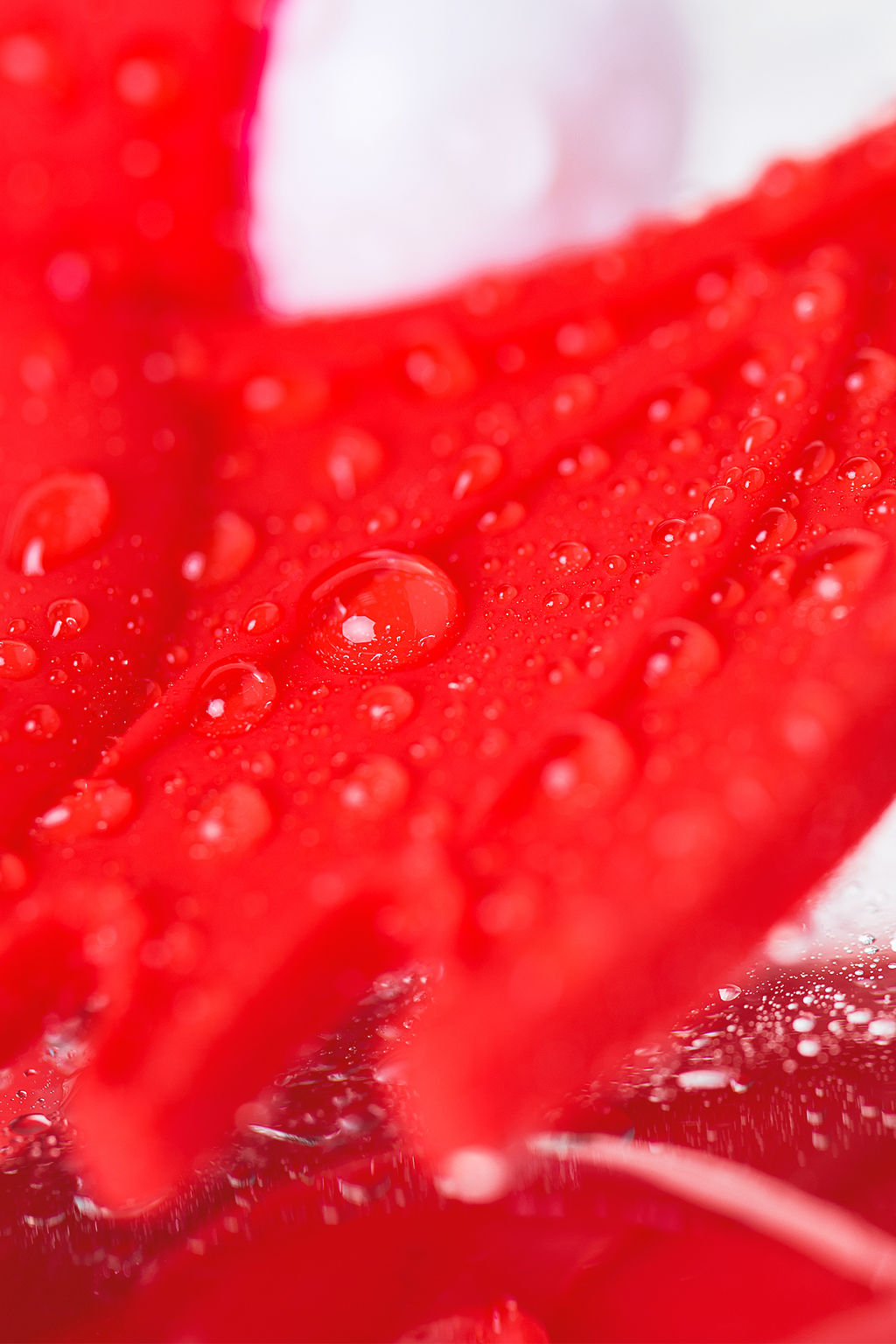 Эрекционное кольцо на пенис JOS SWEET DEVIL, силикон, красный, 8,5 см  фото 10