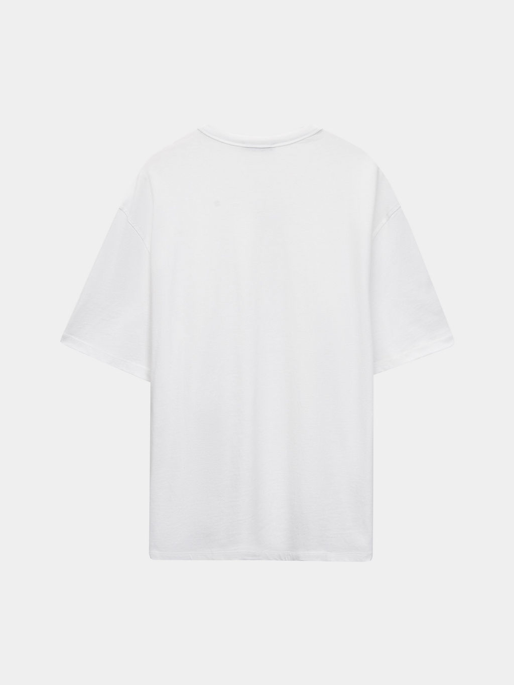 Футболка regular fit M_REGULAR1-1 / Zarina  фото 8