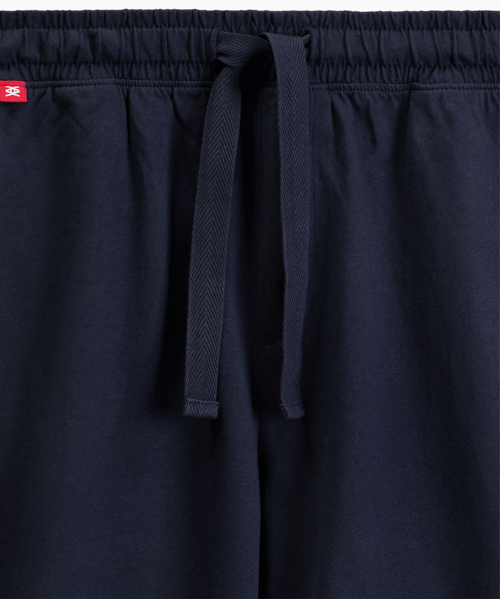 ATLANTIC NMP-396 Пижама мужская Wild серый меланж + темно-синий фото 5