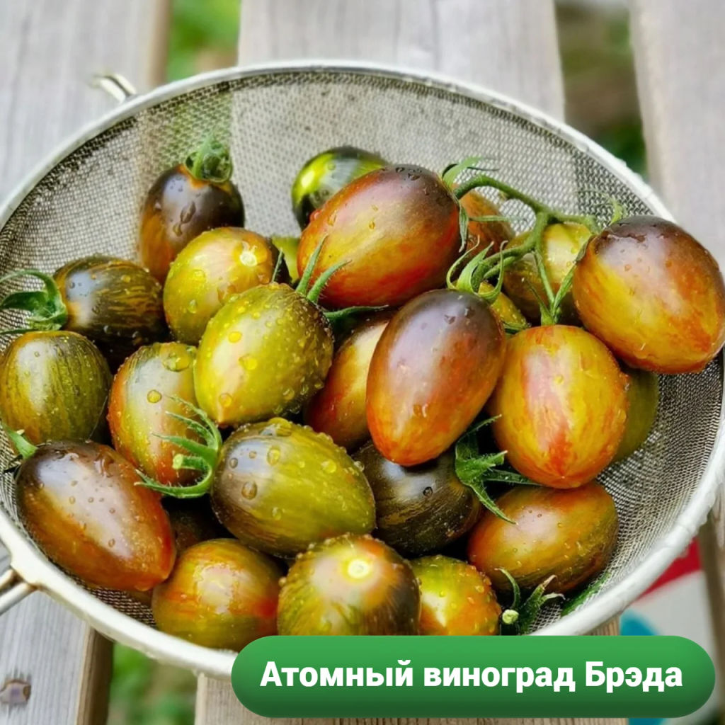 Атомный виноград Брэда